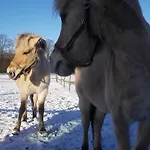Zoopark Zelcin *