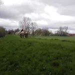 Zoopark Zelcin Mělník