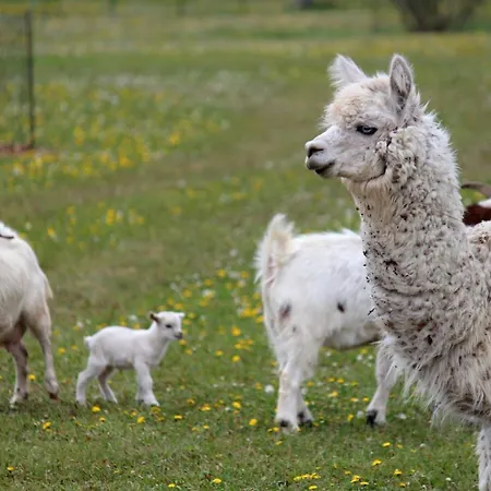 Zoopark Zelčín 3* Mělník