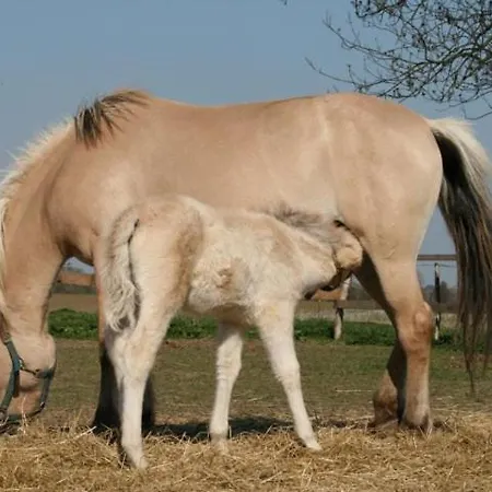 Bauernhof Zoopark Zelcin Mělník