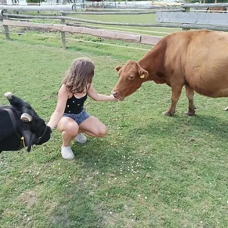 Farmház Zoopark Zelcin *