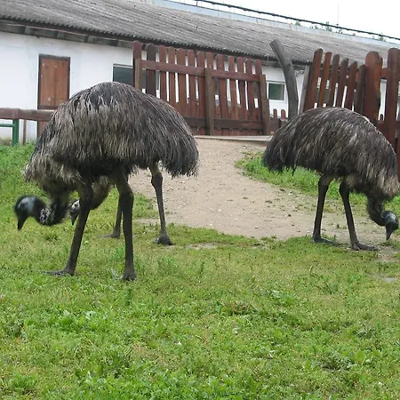 Farmház Zoopark Zelcin *