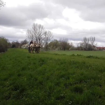 Zoopark Zelcin Mělník