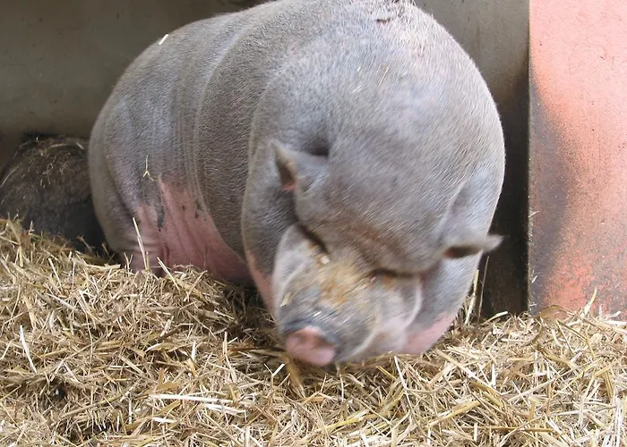 Zoopark Zelcin Feriegård Mělník