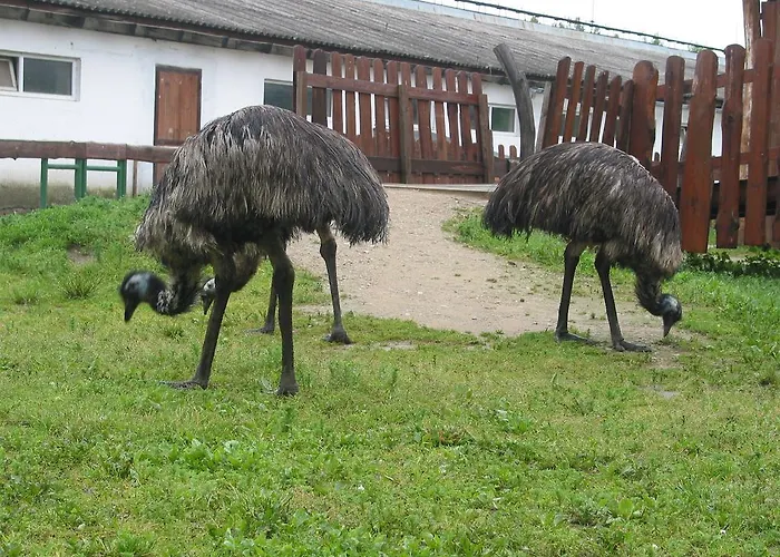 Bauernhof Zoopark Zelcin *