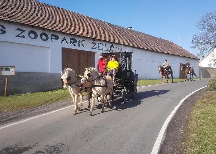Zoopark Zelcin Feriegård
